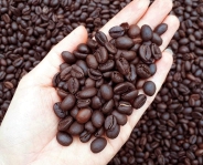 COFFEE PLATFOM - ĐỊA CHỈ PHÂN PHỐI CÀ PHÊ HẠT NGUYÊN CHẤT UY TÍN, CHẤT LƯỢNG TẠI TP.HCM